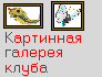 Картинная галерея клуба